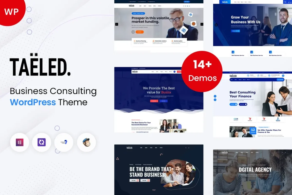 TAELED Business Consulting WordPress Theme Download