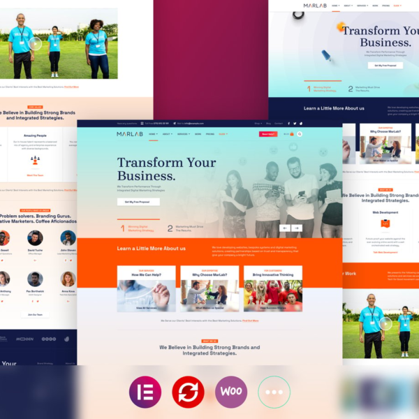 MarLab Digital Solutions WordPress Theme Download