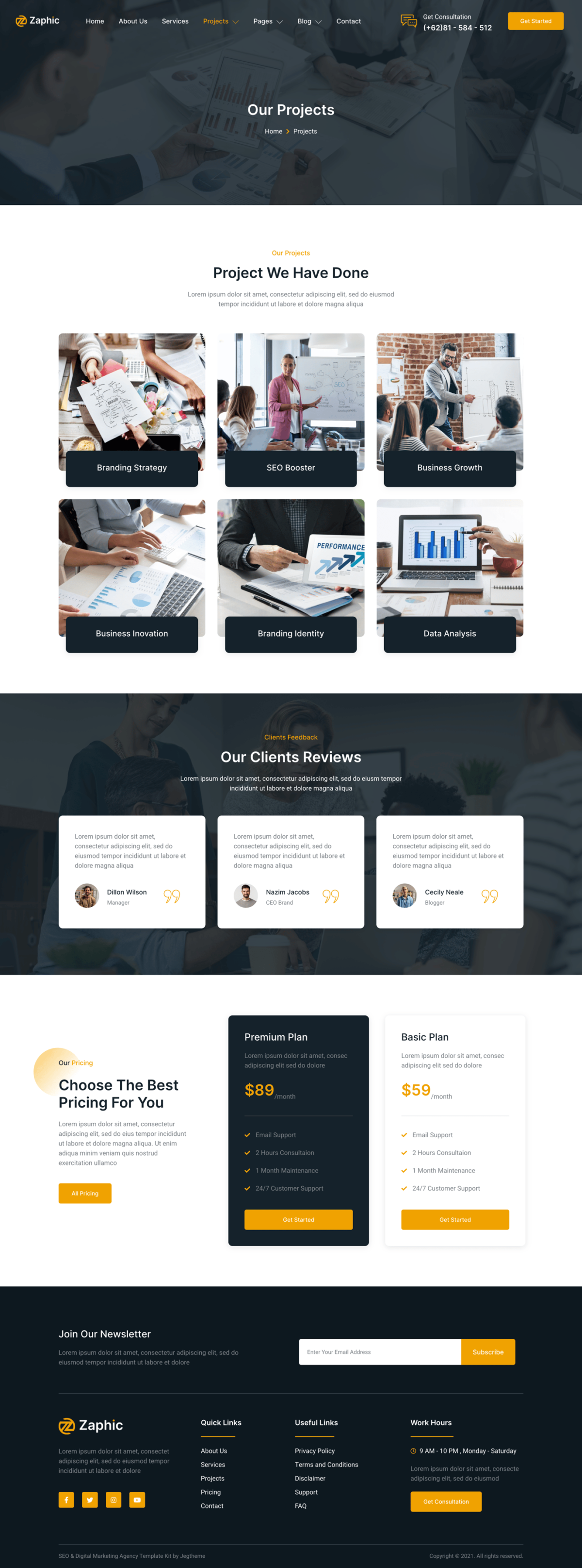 Zaphic SEO and Digital Marketing Agency Elementor Template Kit Download 2