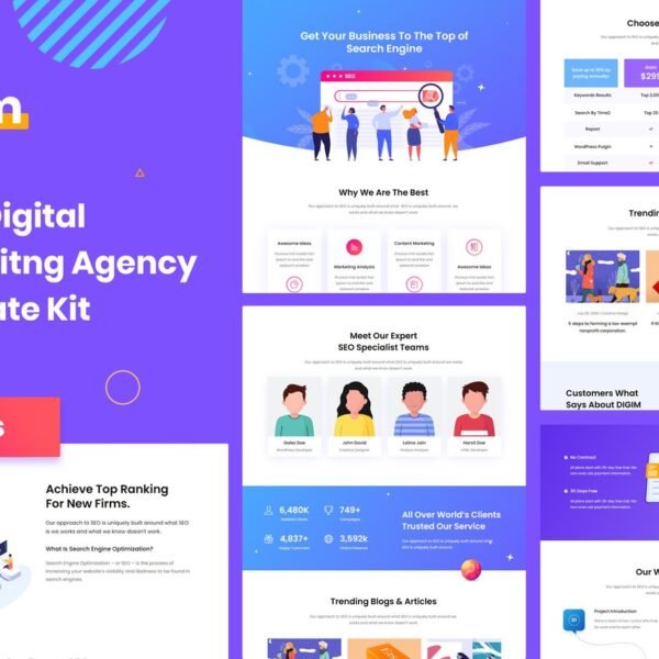 Digim SEO and Digital Marketing Template Kit Download
